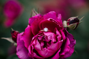 Sedona Wedding Photographer