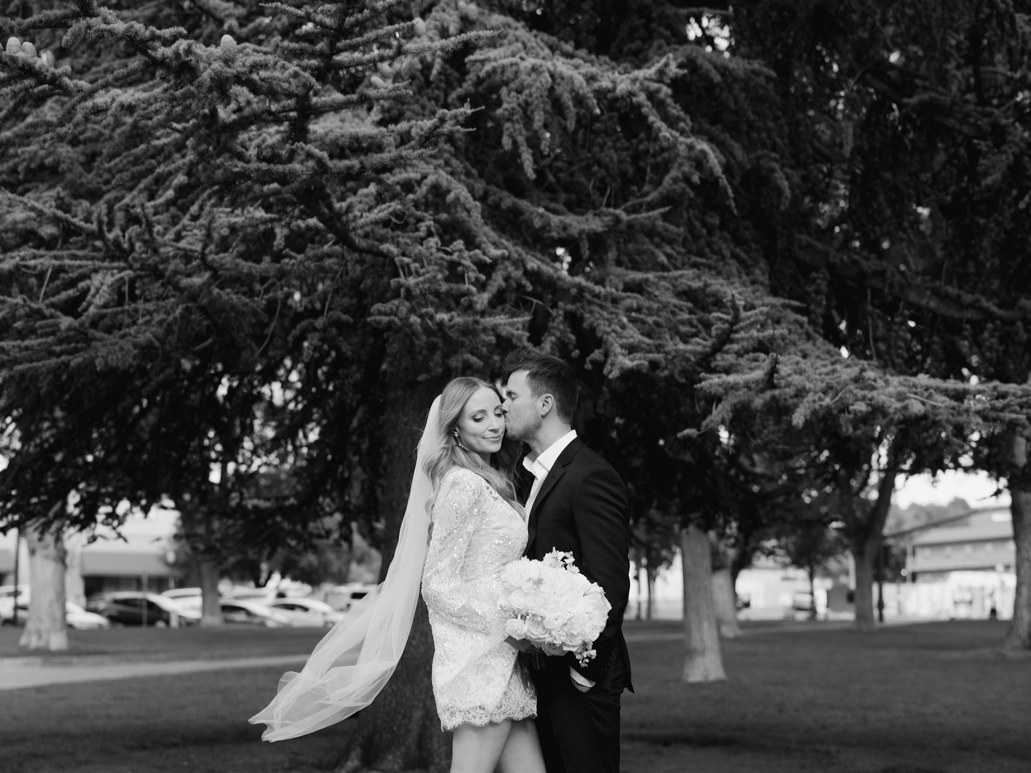 Black and white portrait of Evan kissing Erica beneath an evergreen tree.
